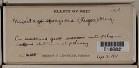 Image Associated With the Occurence